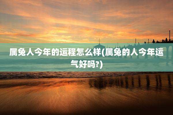 属兔人今年的运程怎么样(属兔的人今年运气好吗?)