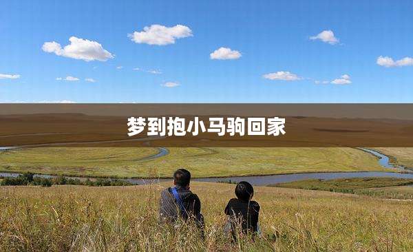 梦到抱小马驹回家