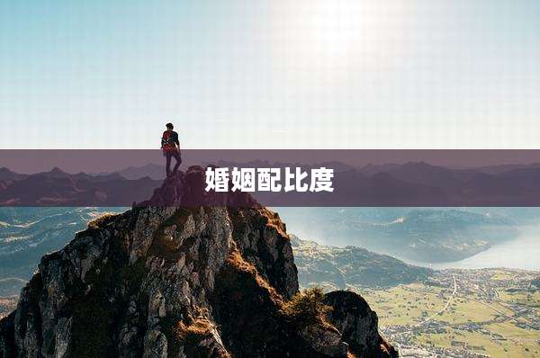 婚姻配比度