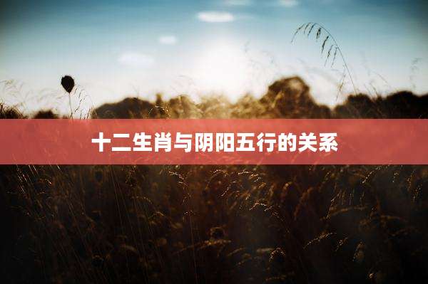 十二生肖与阴阳五行的关系