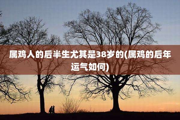 属鸡人的后半生尤其是38岁的(属鸡的后年运气如何)