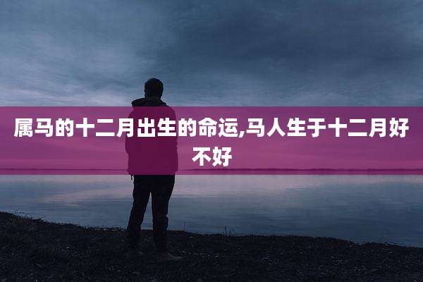 属马的十二月出生的命运,马人生于十二月好不好