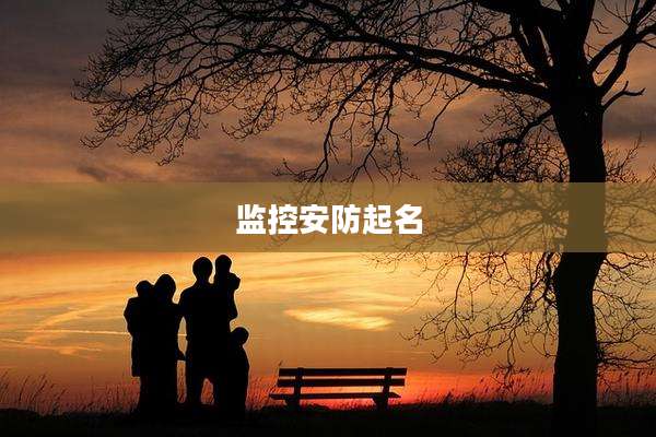 监控安防起名