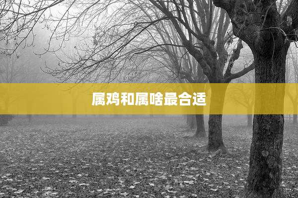 属鸡和属啥最合适