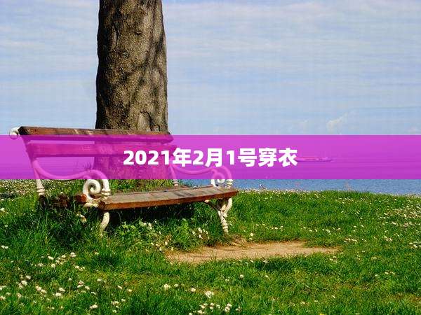 2021年2月1号穿衣