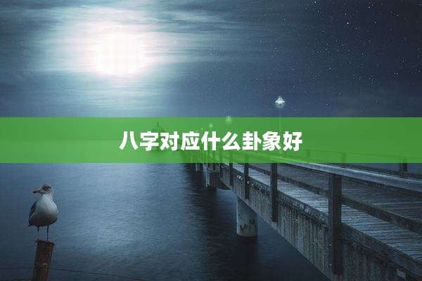 八字对应什么卦象好