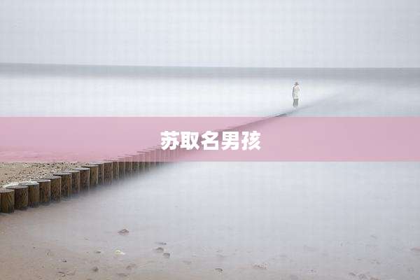 苏取名男孩