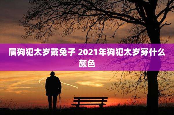 属狗犯太岁戴兔子 2021年狗犯太岁穿什么颜色