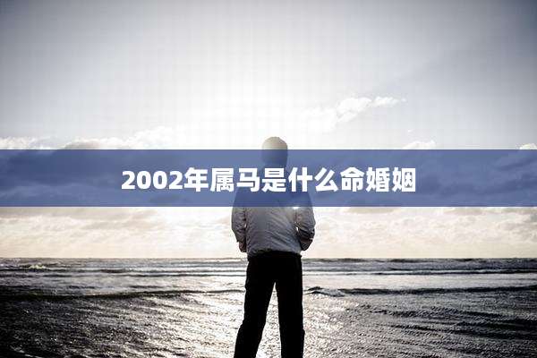 2002年属马是什么命婚姻