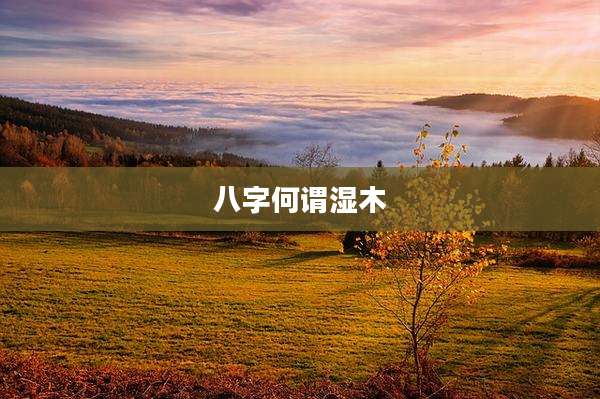 八字何谓湿木