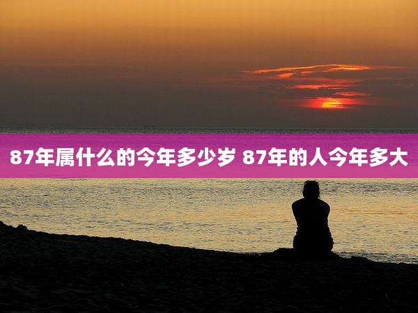 87年属什么的今年多少岁 87年的人今年多大