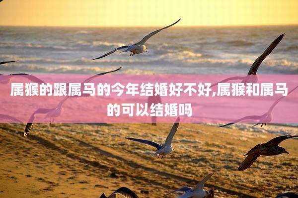 属猴的跟属马的今年结婚好不好,属猴和属马的可以结婚吗