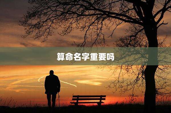 算命名字重要吗