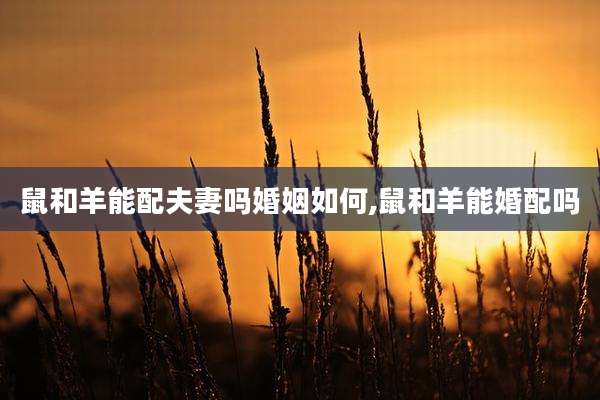 鼠和羊能配夫妻吗婚姻如何,鼠和羊能婚配吗