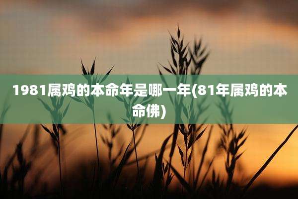 1981属鸡的本命年是哪一年(81年属鸡的本命佛)