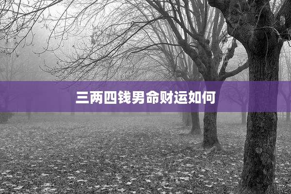 三两四钱男命财运如何
