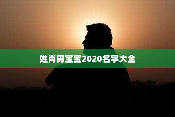 姓肖男宝宝2020名字大全