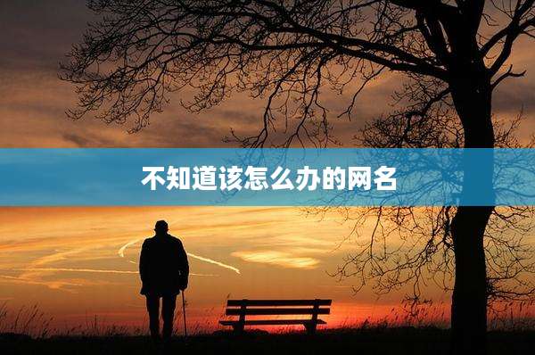 不知道该怎么办的网名