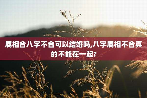 属相合八字不合可以结婚吗,八字属相不合真的不能在一起?