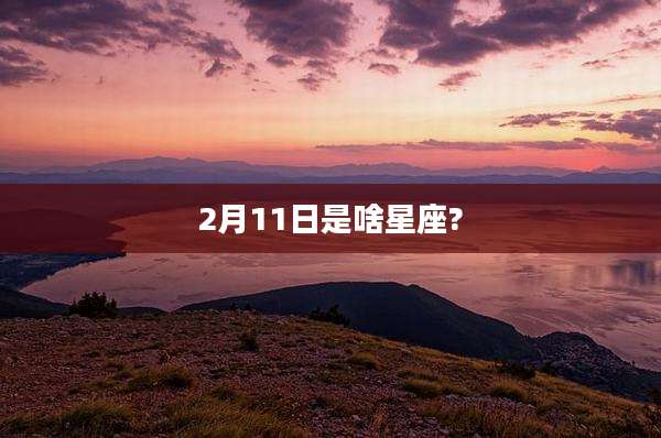 2月11日是啥星座?