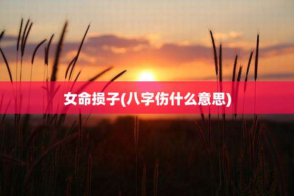 女命损子(八字伤什么意思)