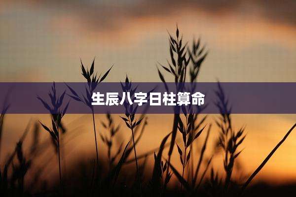 生辰八字日柱算命