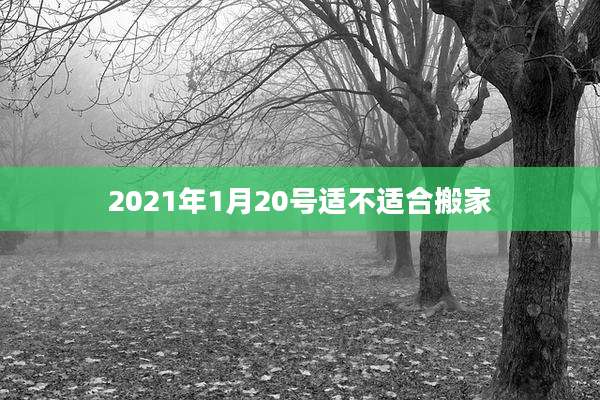 2021年1月20号适不适合搬家