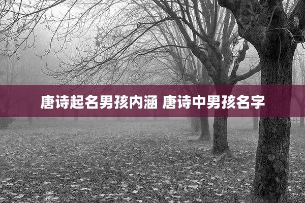 唐诗起名男孩内涵 唐诗中男孩名字
