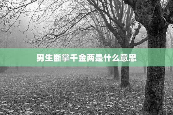 男生断掌千金两是什么意思