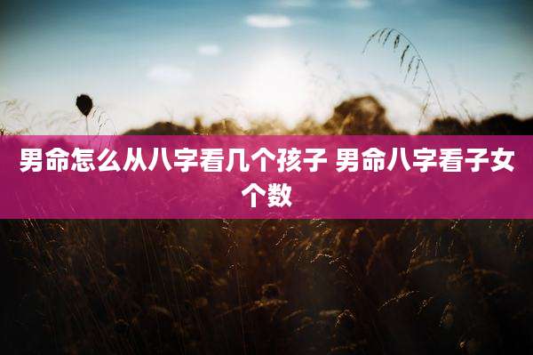 男命怎么从八字看几个孩子 男命八字看子女个数