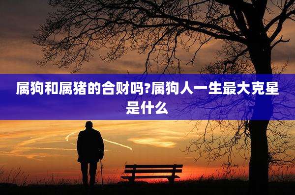 属狗和属猪的合财吗?属狗人一生最大克星是什么