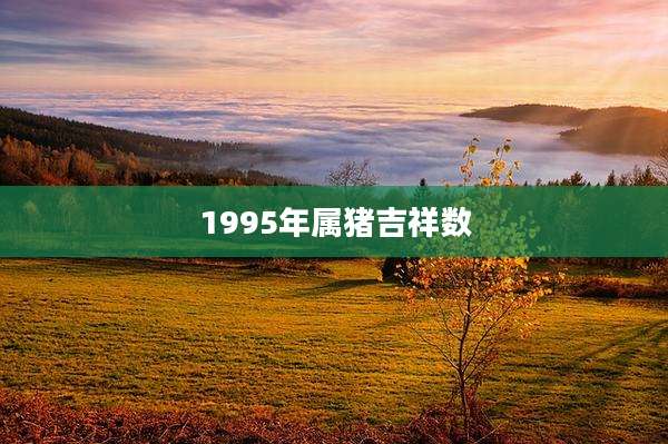 1995年属猪吉祥数