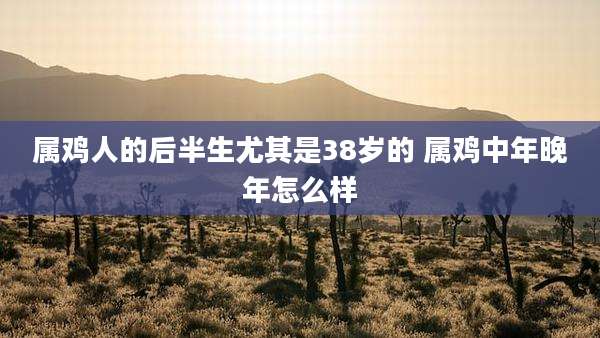 属鸡人的后半生尤其是38岁的 属鸡中年晚年怎么样