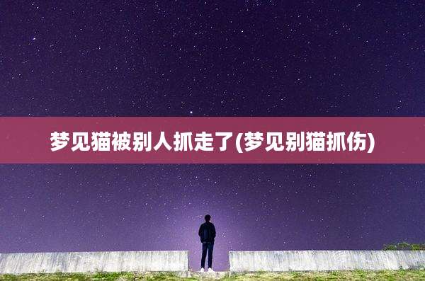 梦见猫被别人抓走了(梦见别猫抓伤)