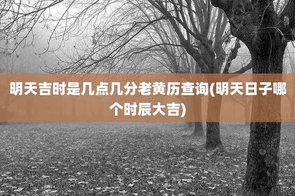 明天吉时是几点几分老黄历查询(明天日子哪个时辰大吉)