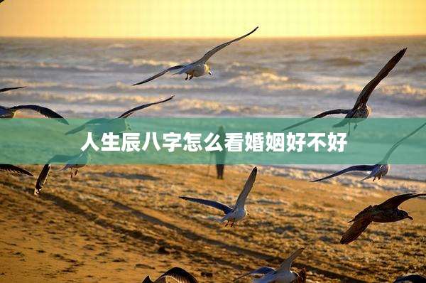 人生辰八字怎么看婚姻好不好