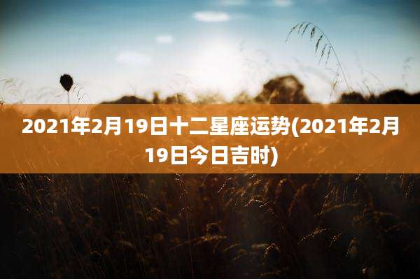2021年2月19日十二星座运势(2021年2月19日今日吉时)