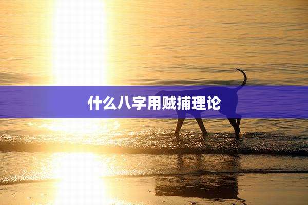 什么八字用贼捕理论