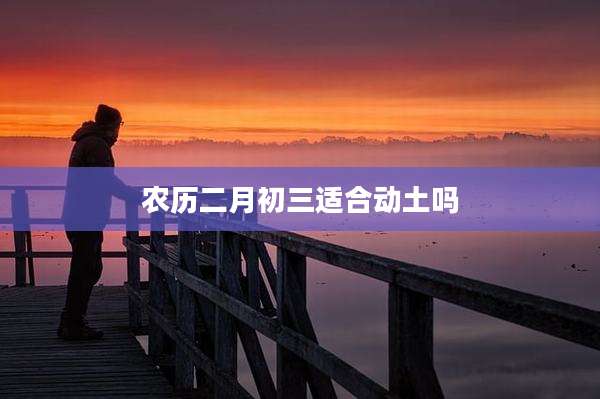 农历二月初三适合动土吗