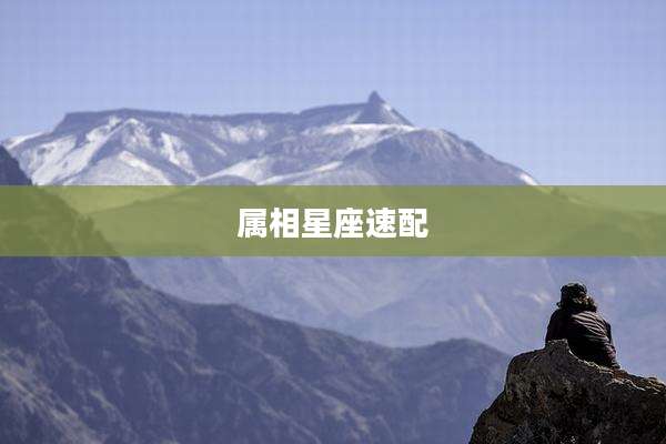 属相星座速配