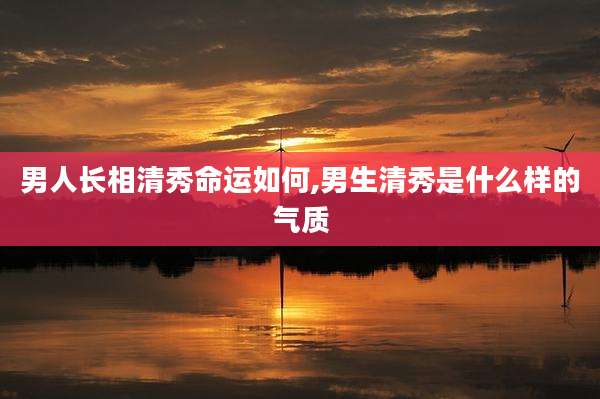 男人长相清秀命运如何,男生清秀是什么样的气质