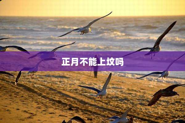 正月不能上坟吗