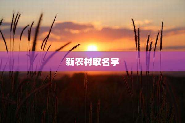 新农村取名字