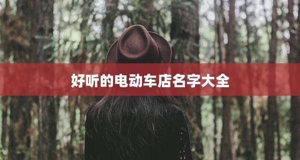 好听的电动车店名字大全