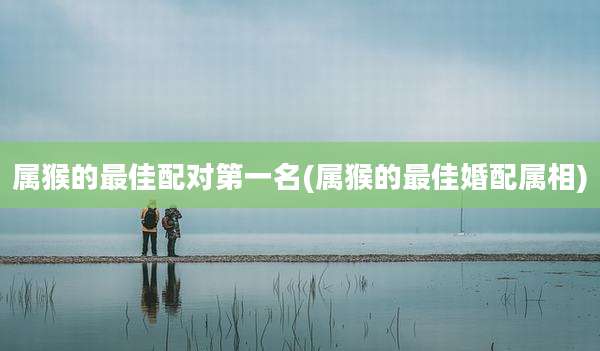 属猴的最佳配对第一名(属猴的最佳婚配属相)