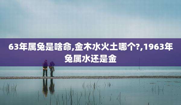 63年属兔是啥命,金木水火土哪个?,1963年兔属水还是金