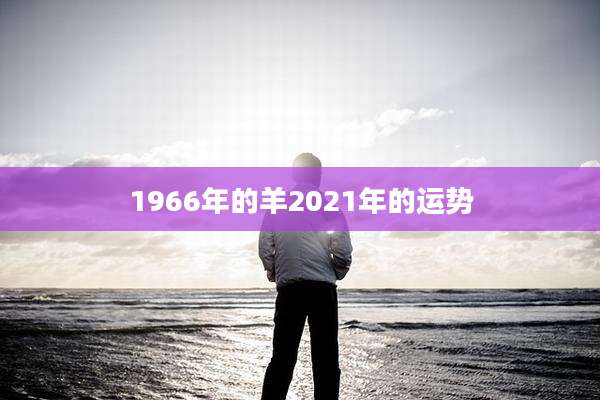 1966年的羊2021年的运势