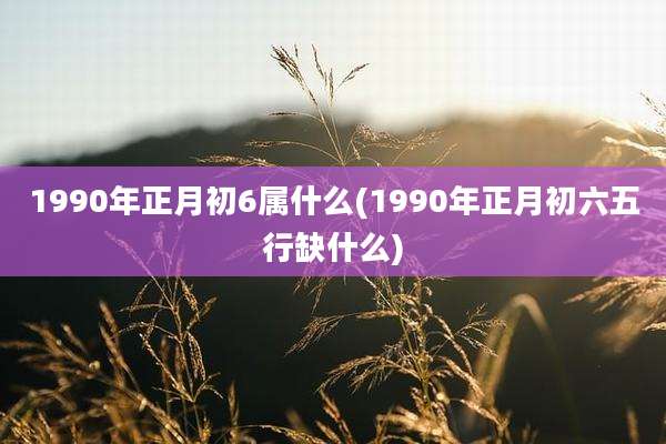 1990年正月初6属什么(1990年正月初六五行缺什么)