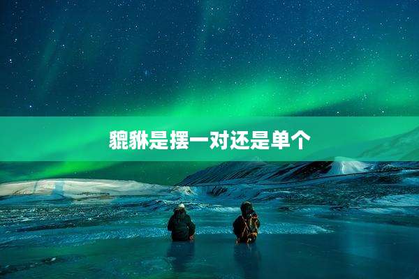 貔貅是摆一对还是单个