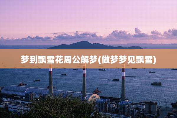 梦到飘雪花周公解梦(做梦梦见飘雪)